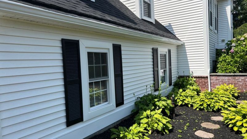 Comparing Metal Windows Replacement And Vinyl Options